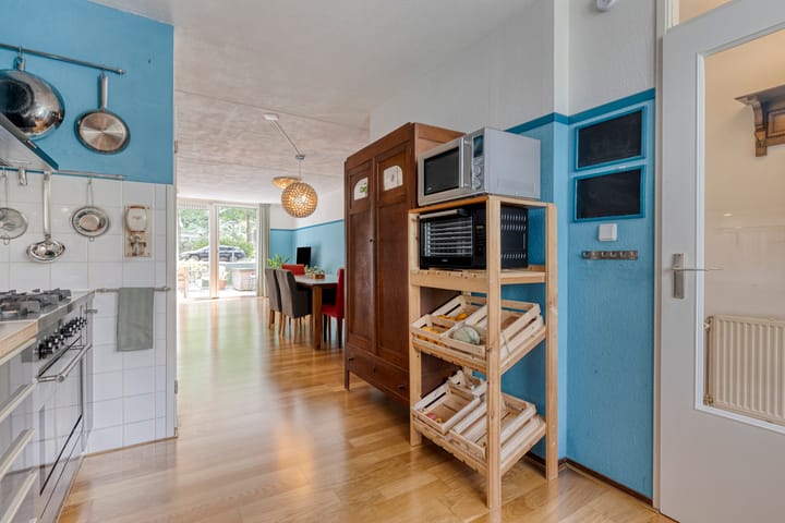 Foto 11 van Dwergvinvisstraat 34