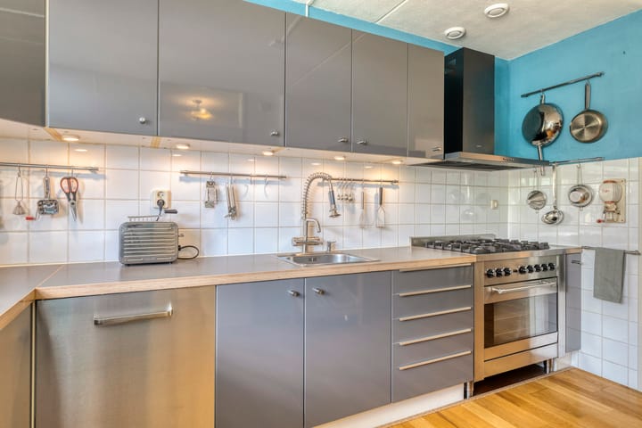 Foto 10 van Dwergvinvisstraat 34