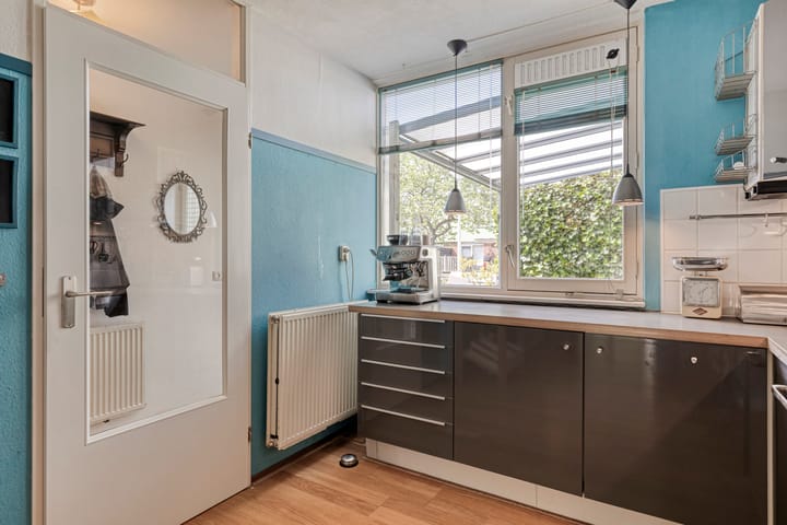 Foto 12 van Dwergvinvisstraat 34