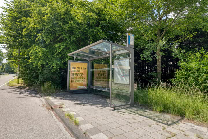 Foto 41 van Dwergvinvisstraat 34