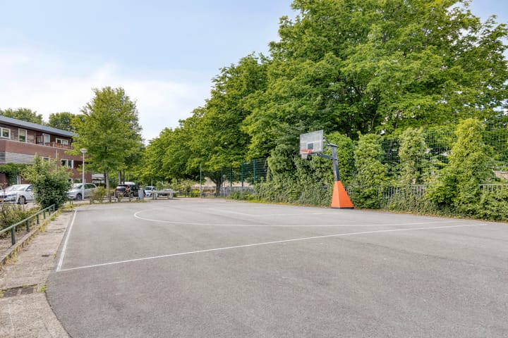 Foto 42 van Dwergvinvisstraat 34