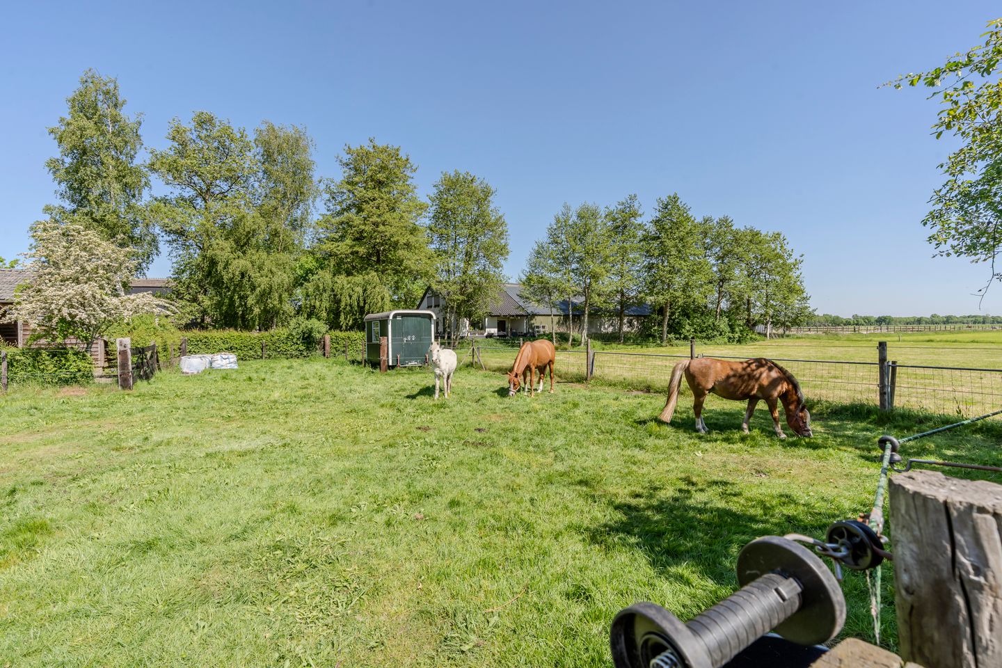 Foto 74 van Weerwille 15