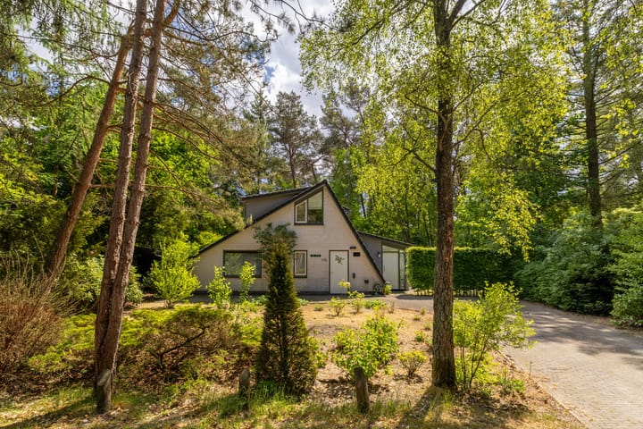 Foto 4 van Ericaweg 9-0123