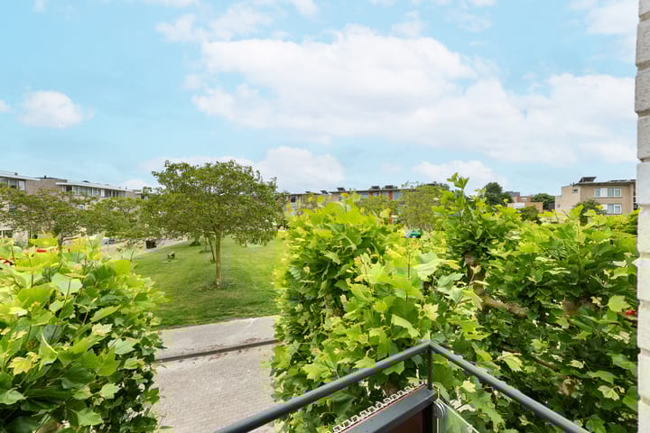 Foto 44 van Nienke van Hichtumlaan 7