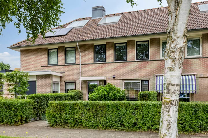 undefined main image