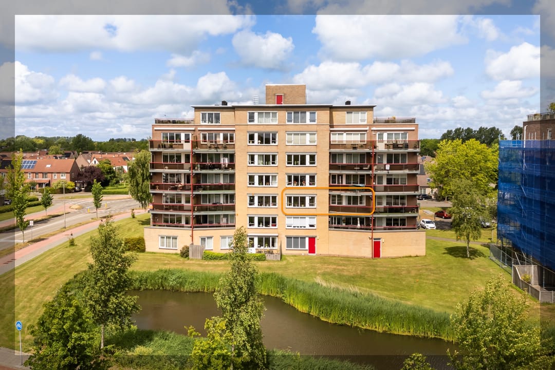 Photo 1 of Smeetsmastins 18