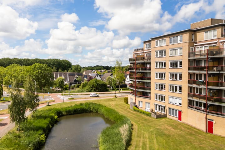 Photo 3 of Smeetsmastins 18