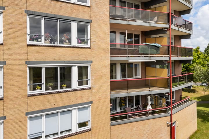 Photo 2 of Smeetsmastins 18