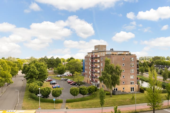 Photo 5 of Smeetsmastins 18