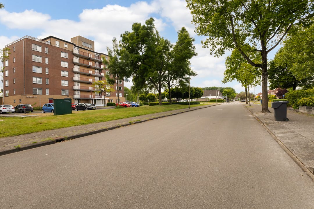 Photo 7 of Smeetsmastins 18