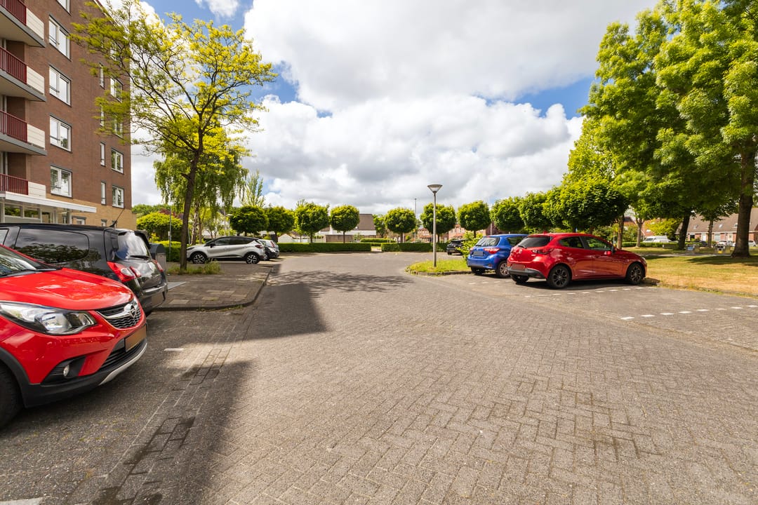 Photo 8 of Smeetsmastins 18