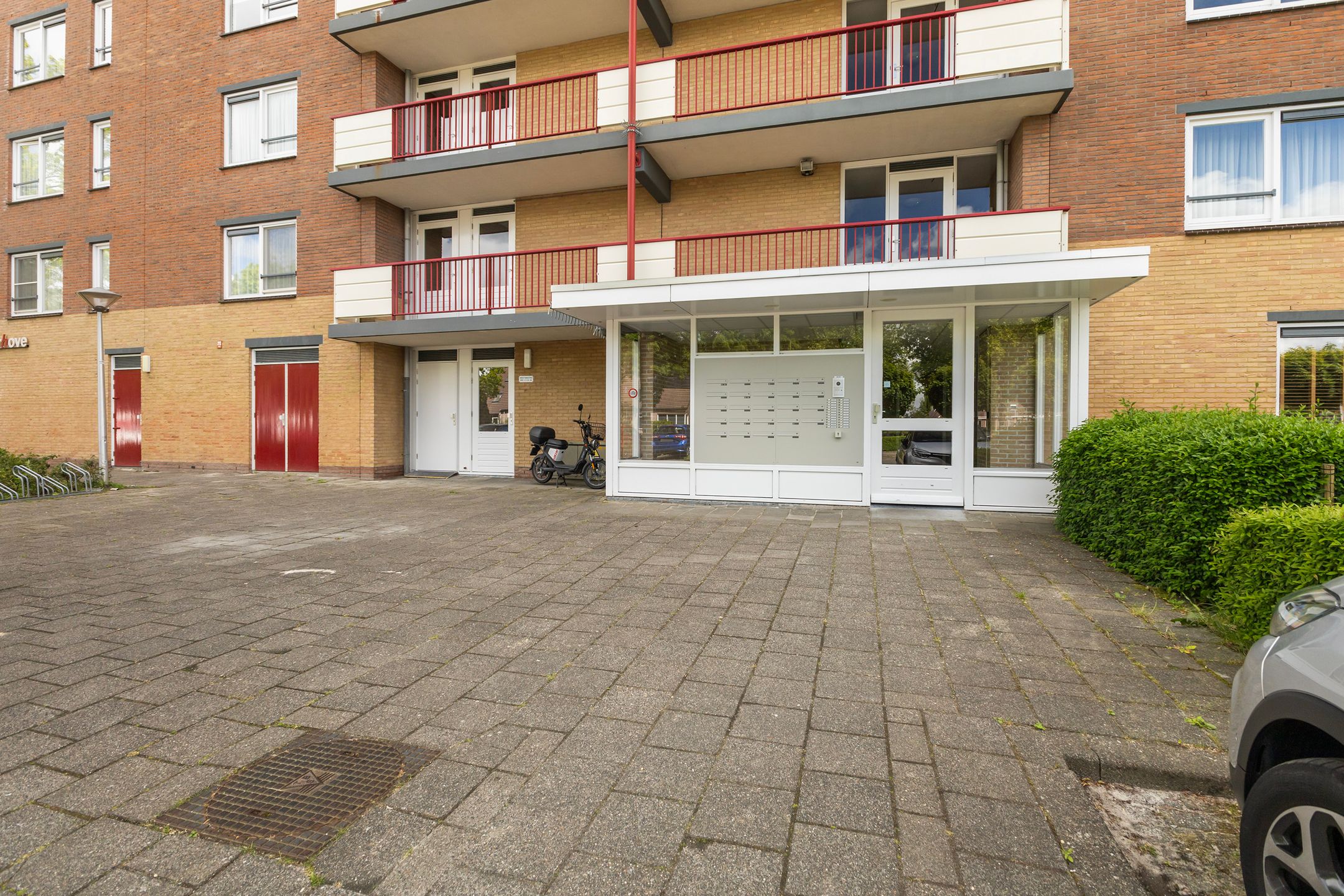 Photo 9 of Smeetsmastins 18