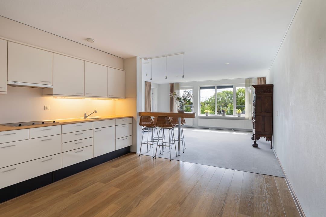 Photo 11 of Smeetsmastins 18