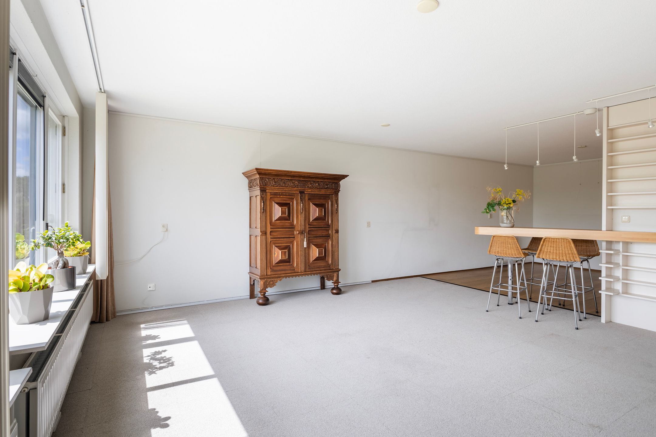 Photo 12 of Smeetsmastins 18