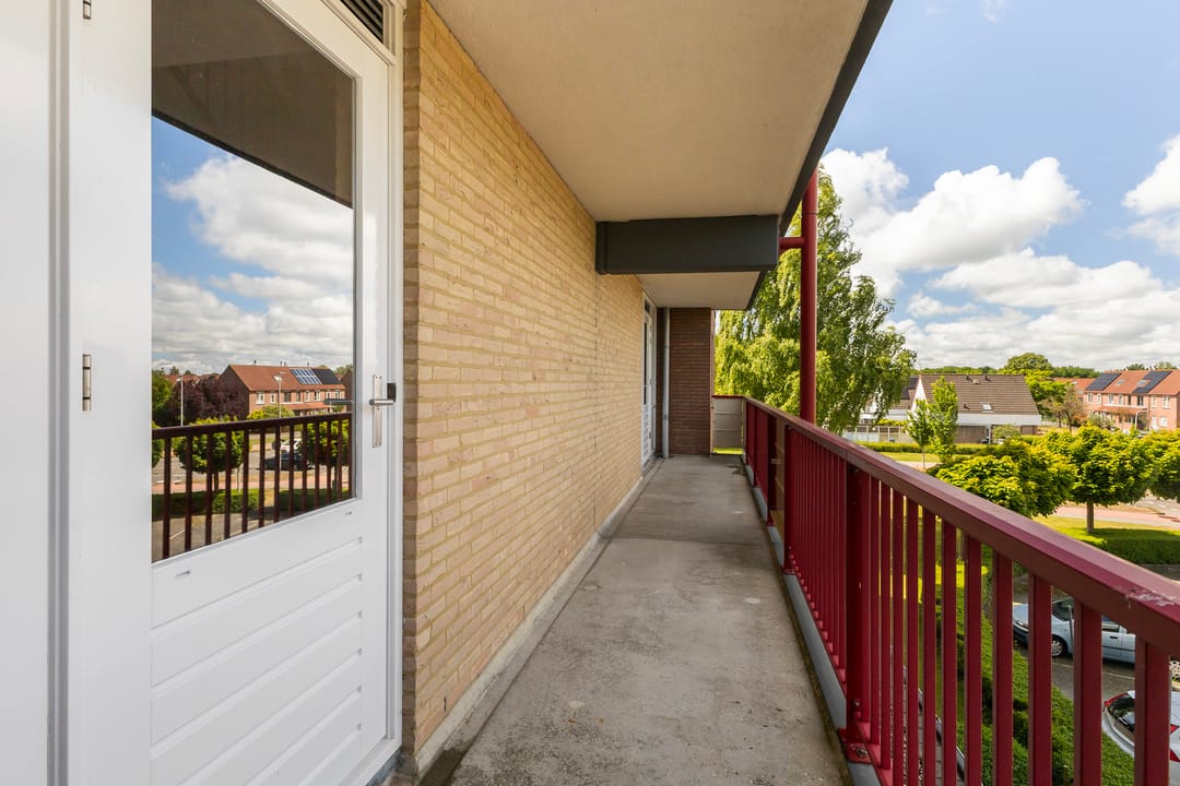 Photo 17 of Smeetsmastins 18