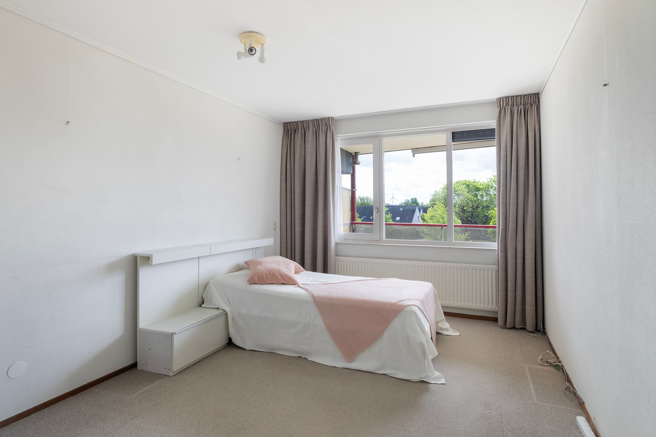 Photo 18 of Smeetsmastins 18