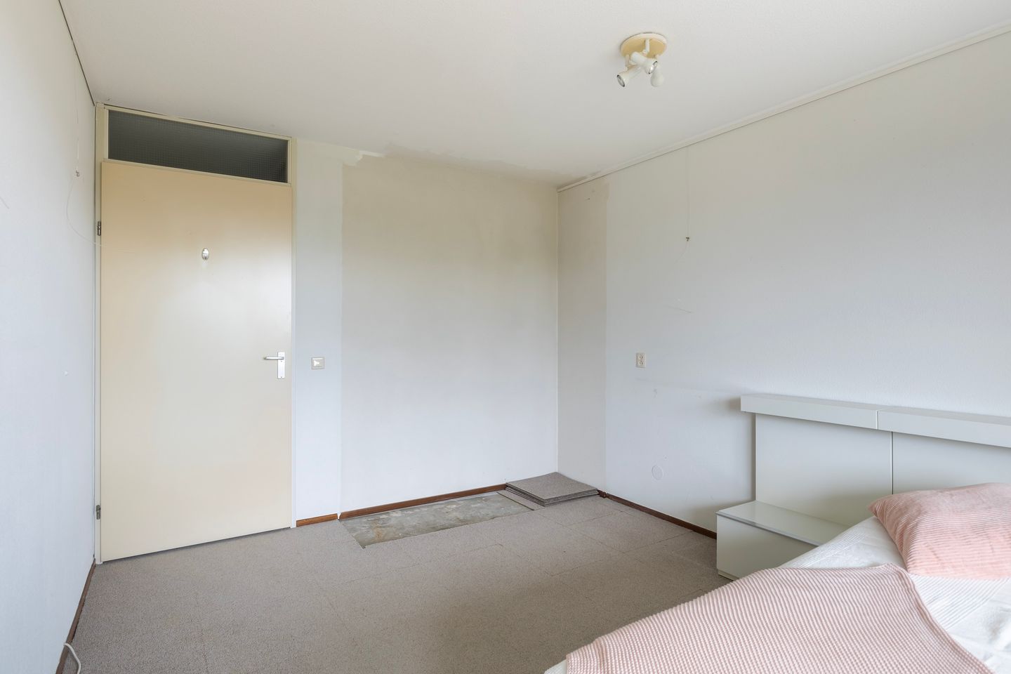 Photo 19 of Smeetsmastins 18