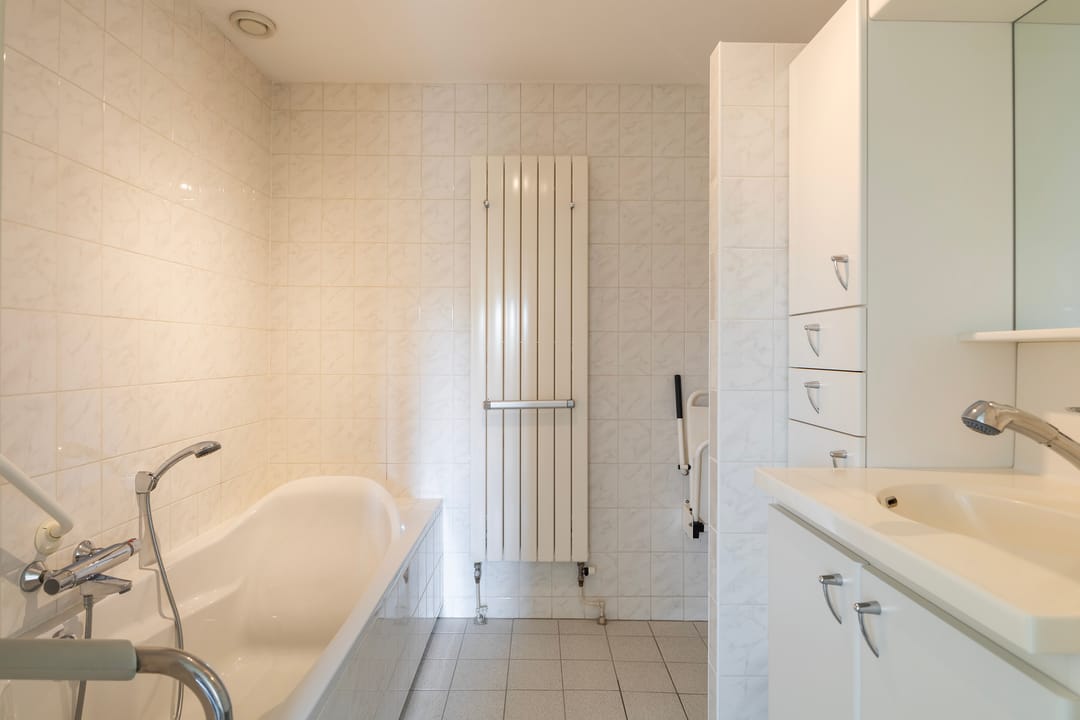 Photo 22 of Smeetsmastins 18