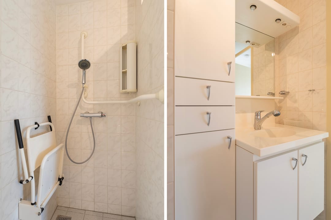 Photo 23 of Smeetsmastins 18