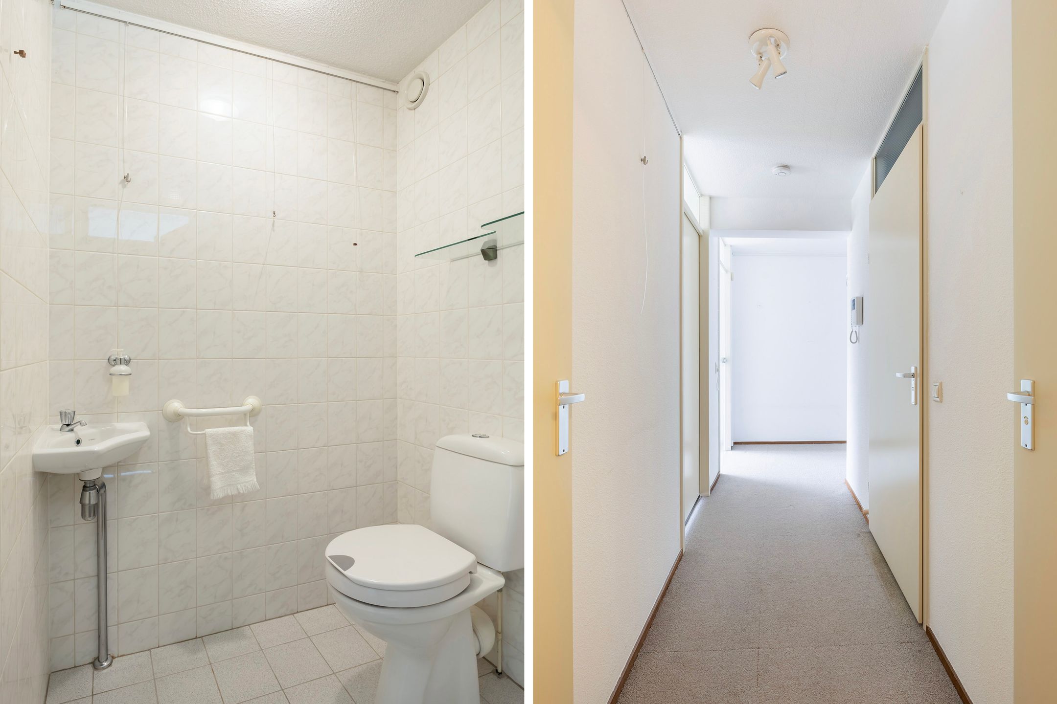 Photo 24 of Smeetsmastins 18