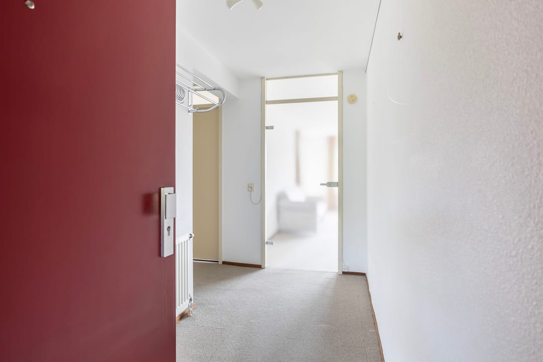 Photo 26 of Smeetsmastins 18