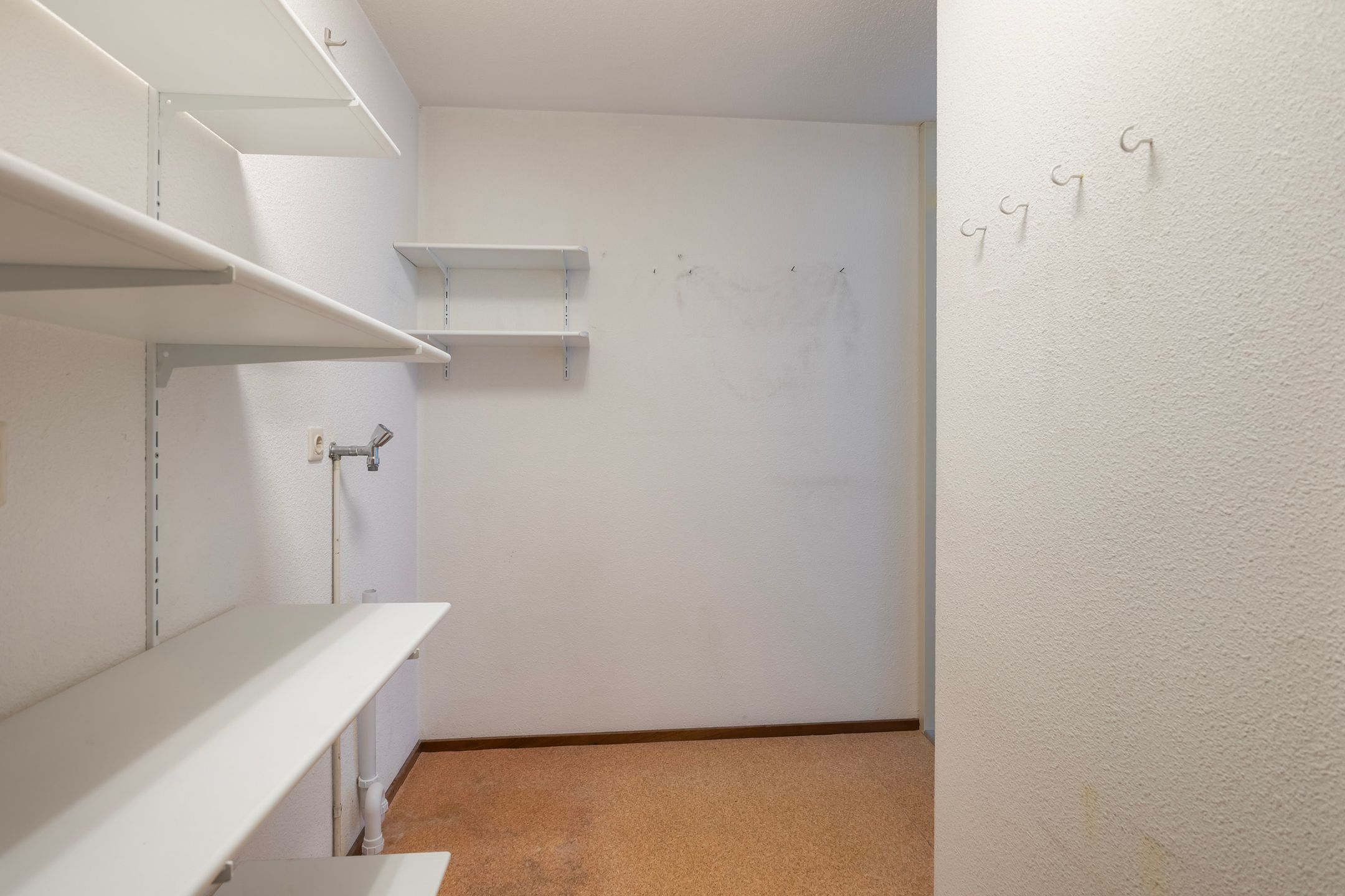 Photo 27 of Smeetsmastins 18