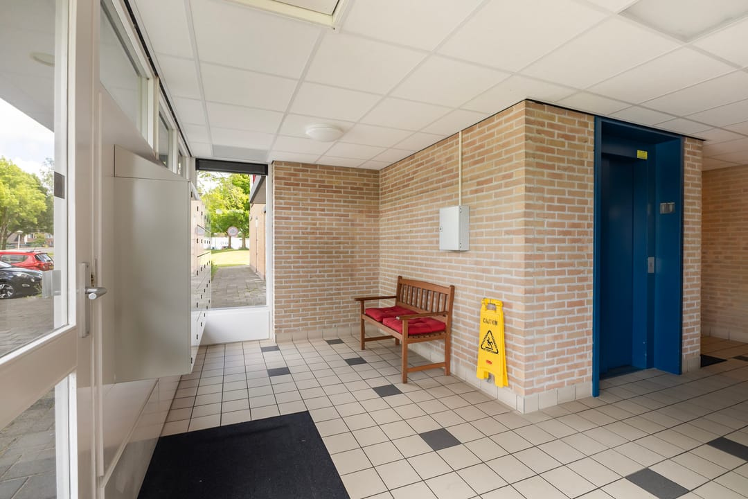 Photo 28 of Smeetsmastins 18