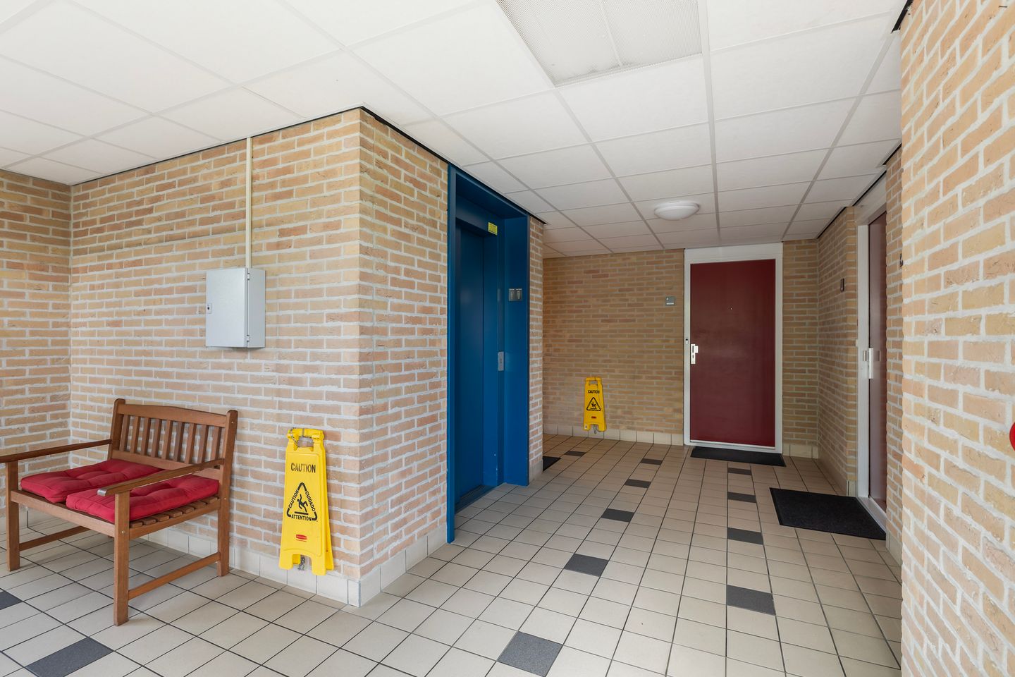 Photo 29 of Smeetsmastins 18