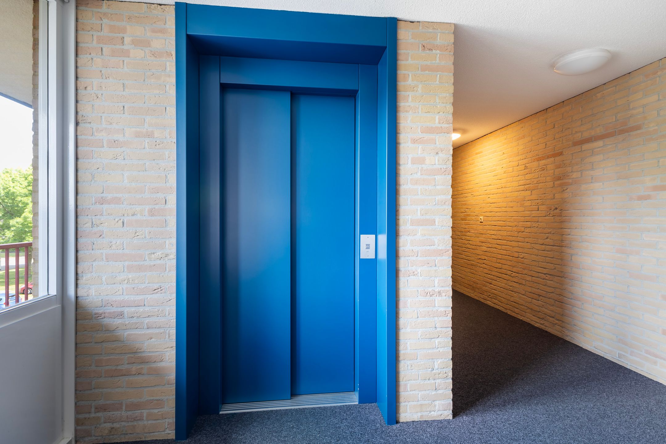 Photo 30 of Smeetsmastins 18