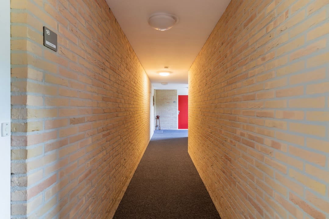 Photo 31 of Smeetsmastins 18