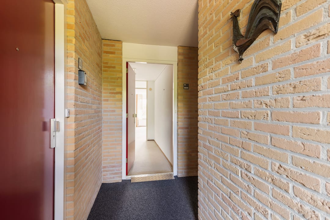 Photo 32 of Smeetsmastins 18