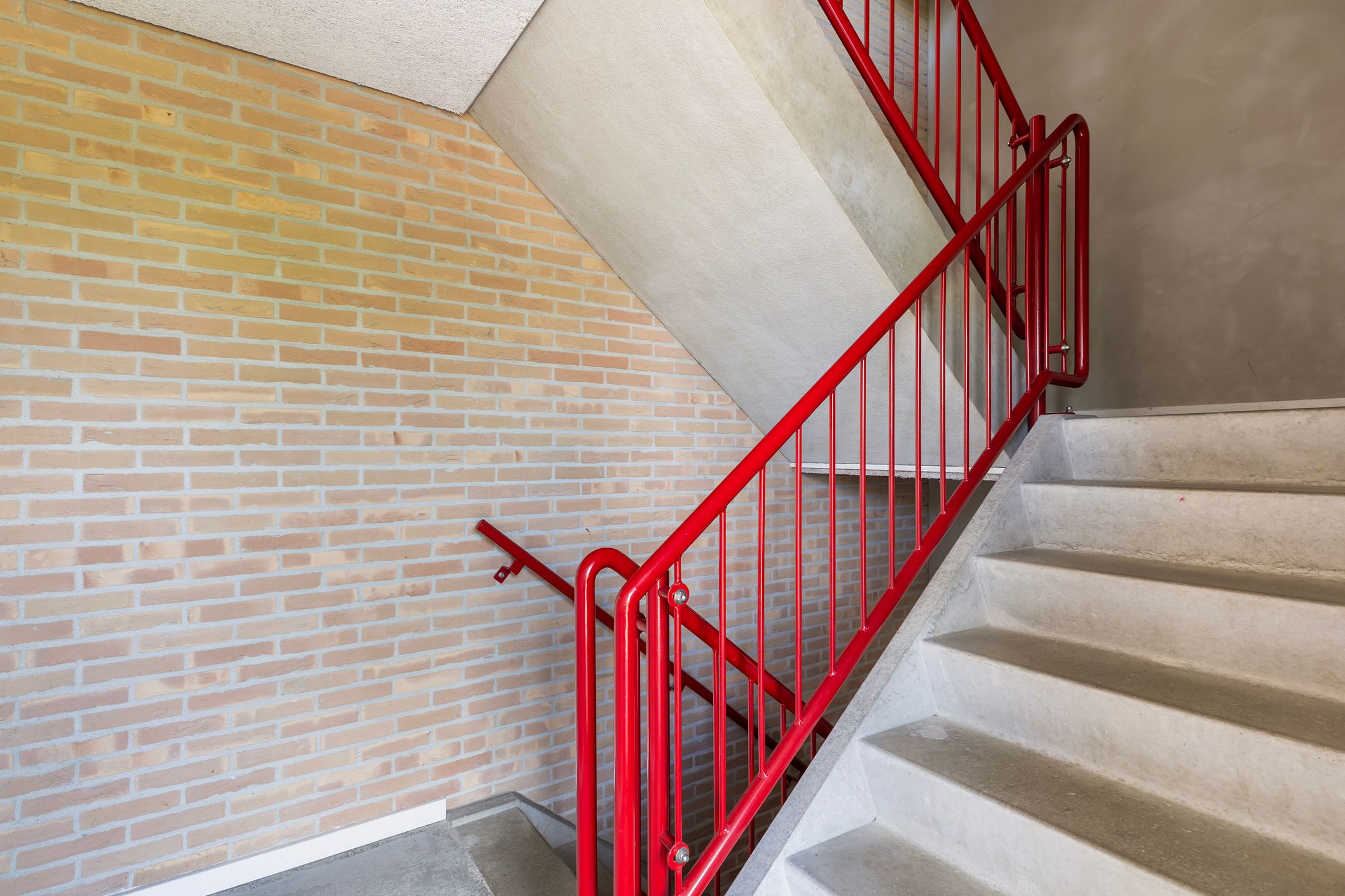 Photo 33 of Smeetsmastins 18