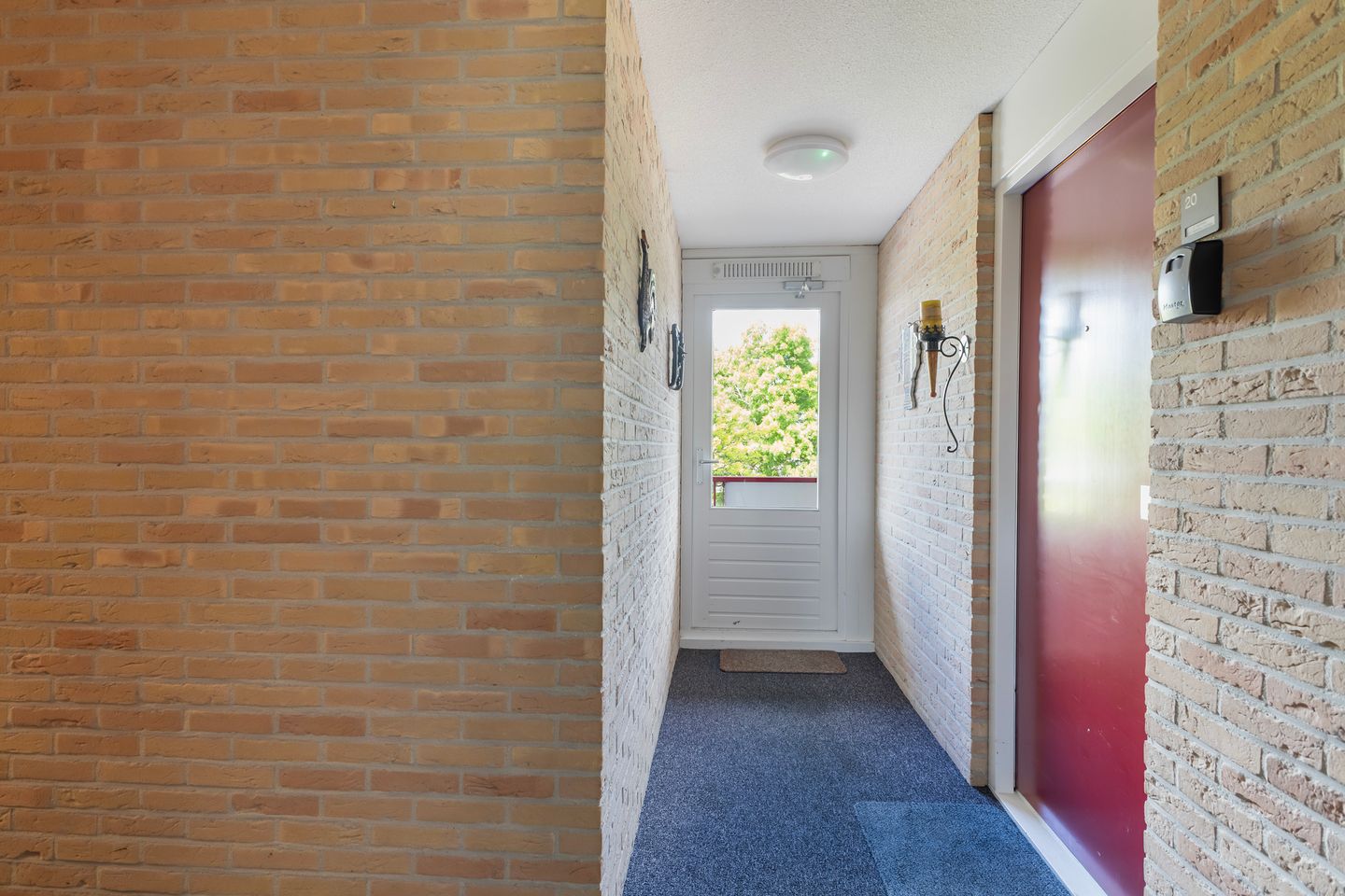 Photo 34 of Smeetsmastins 18