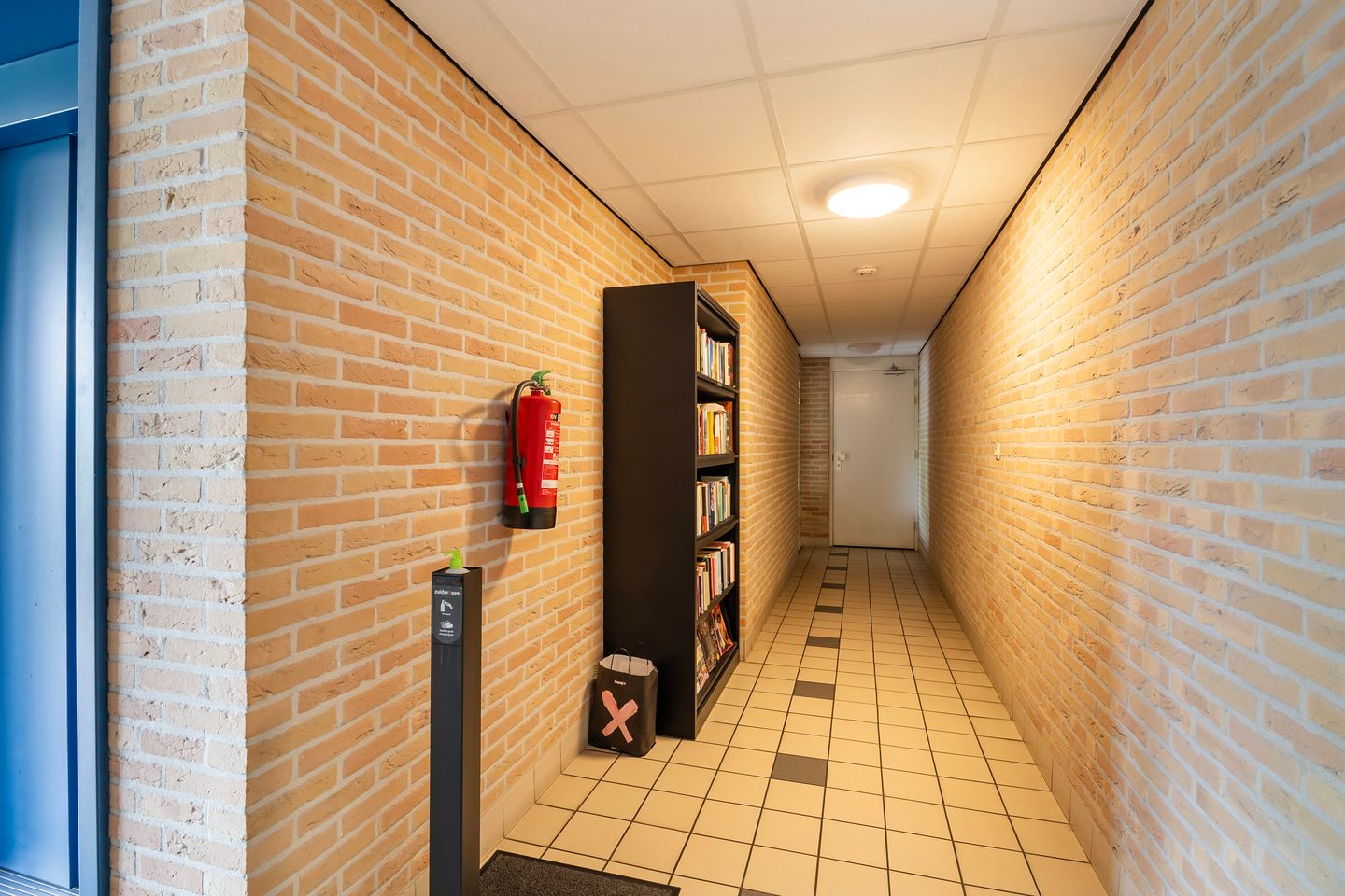 Photo 35 of Smeetsmastins 18