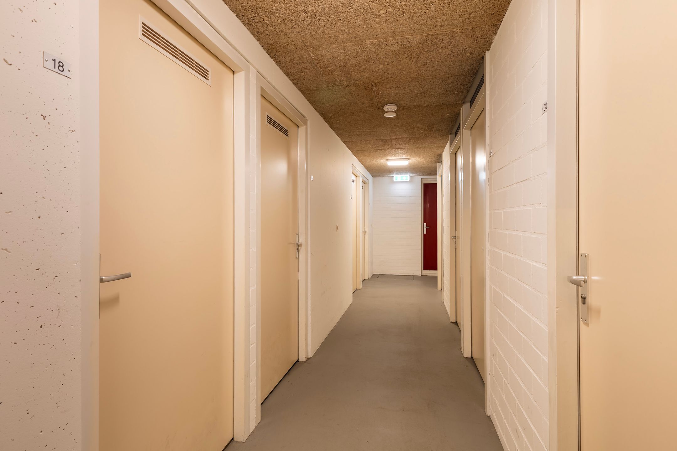 Photo 36 of Smeetsmastins 18