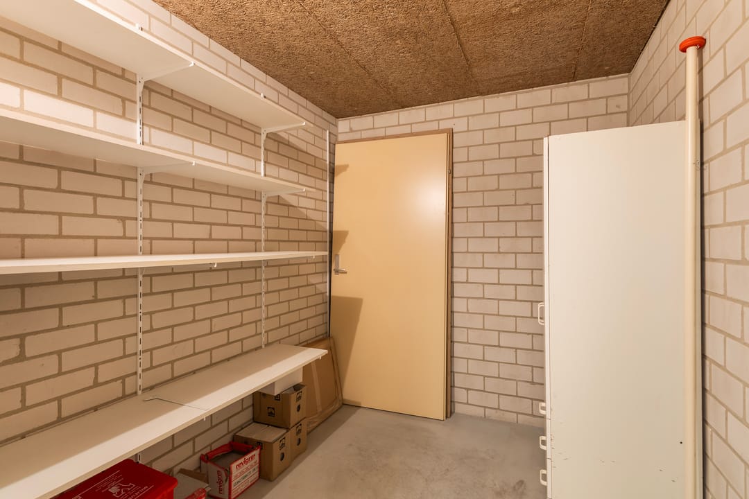 Photo 37 of Smeetsmastins 18