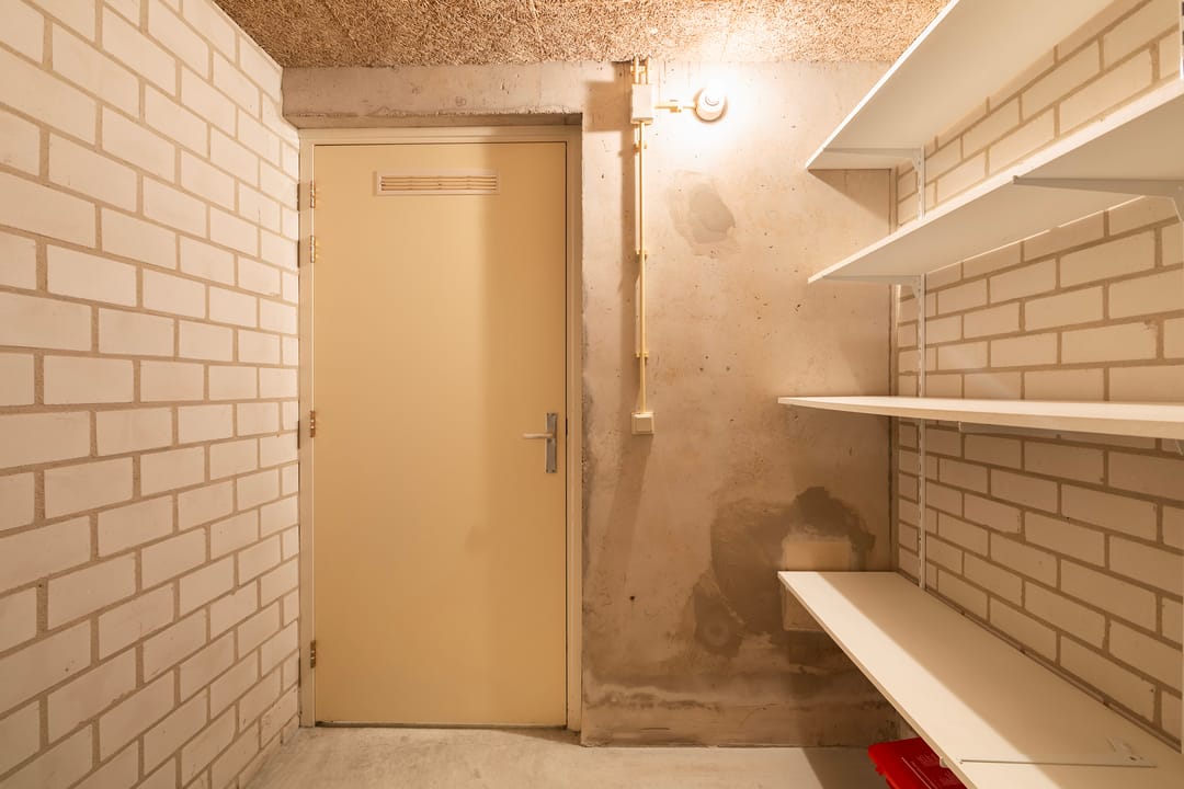 Photo 38 of Smeetsmastins 18