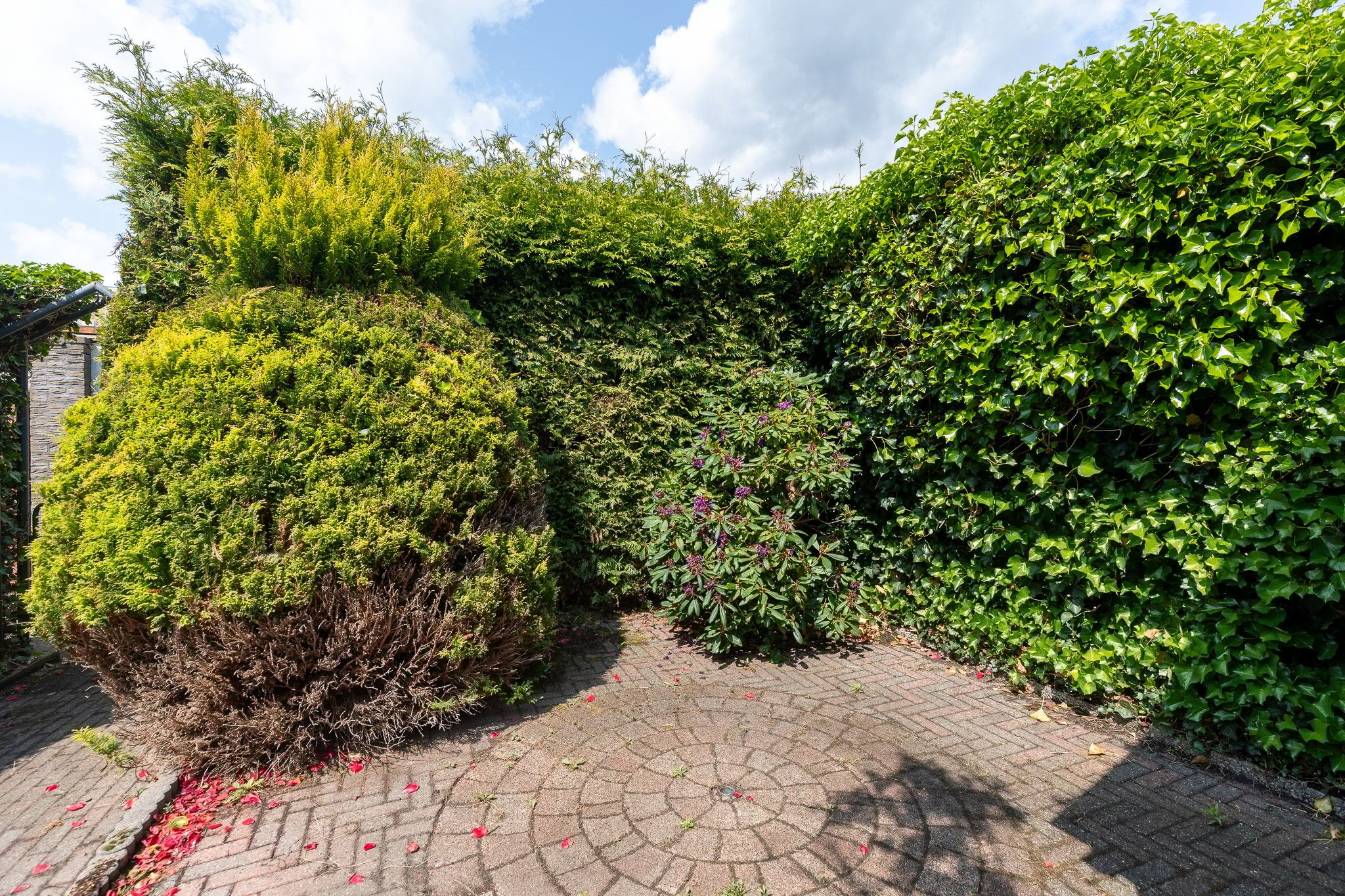 Foto 24 van Jacob Catslaan 12