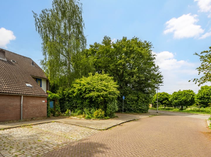 Photo 34 of De Moesmate 298