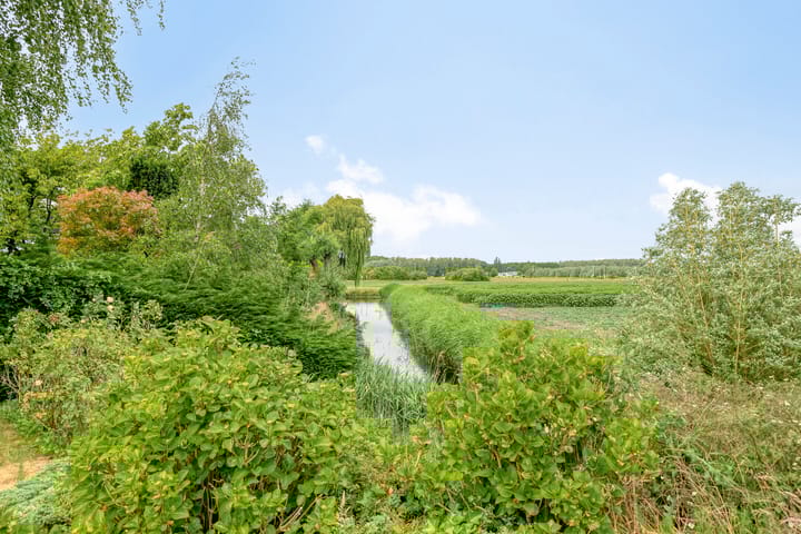 Foto 41 van Montanusstraat 2