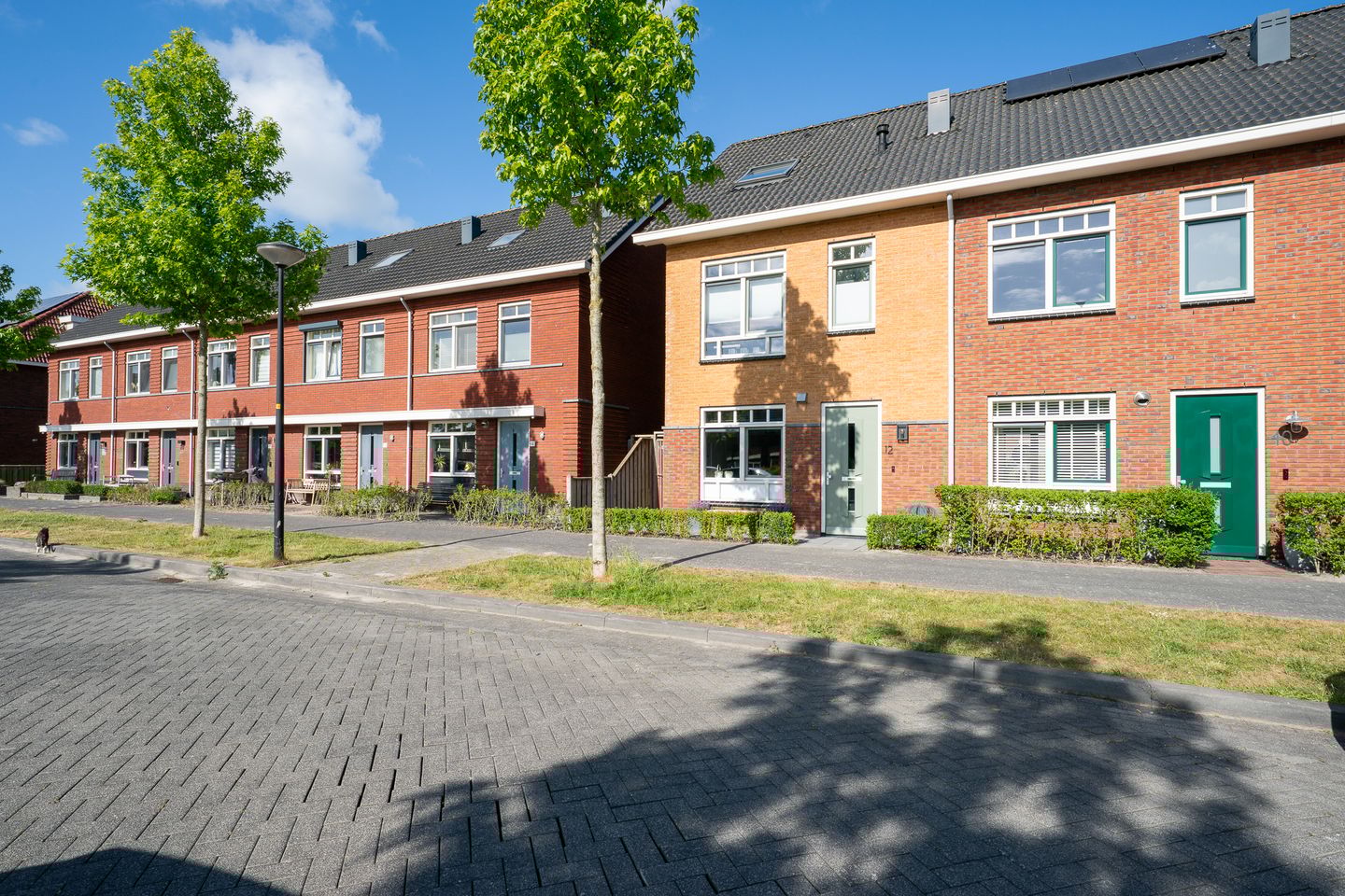 Foto 40 van Kalmoesstraat 12