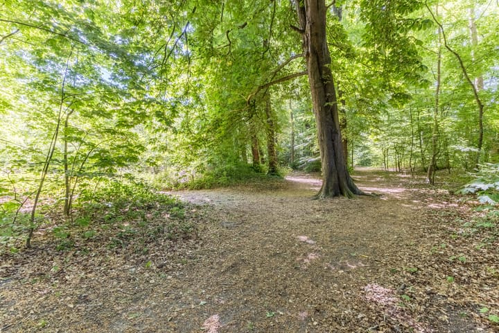 Foto 45 van Kennemerstraatweg 182