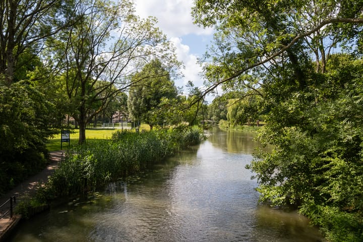 Foto 37 van Adriaen van Ostadelaan 159-3