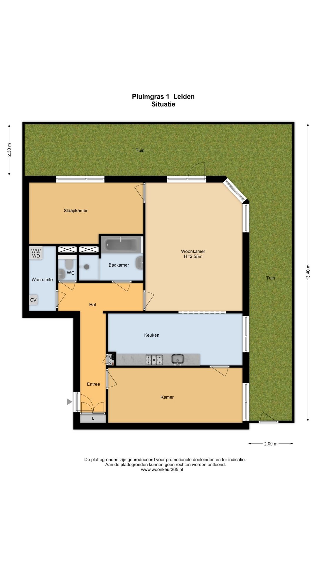 Foto 39 van Pluimgras 1