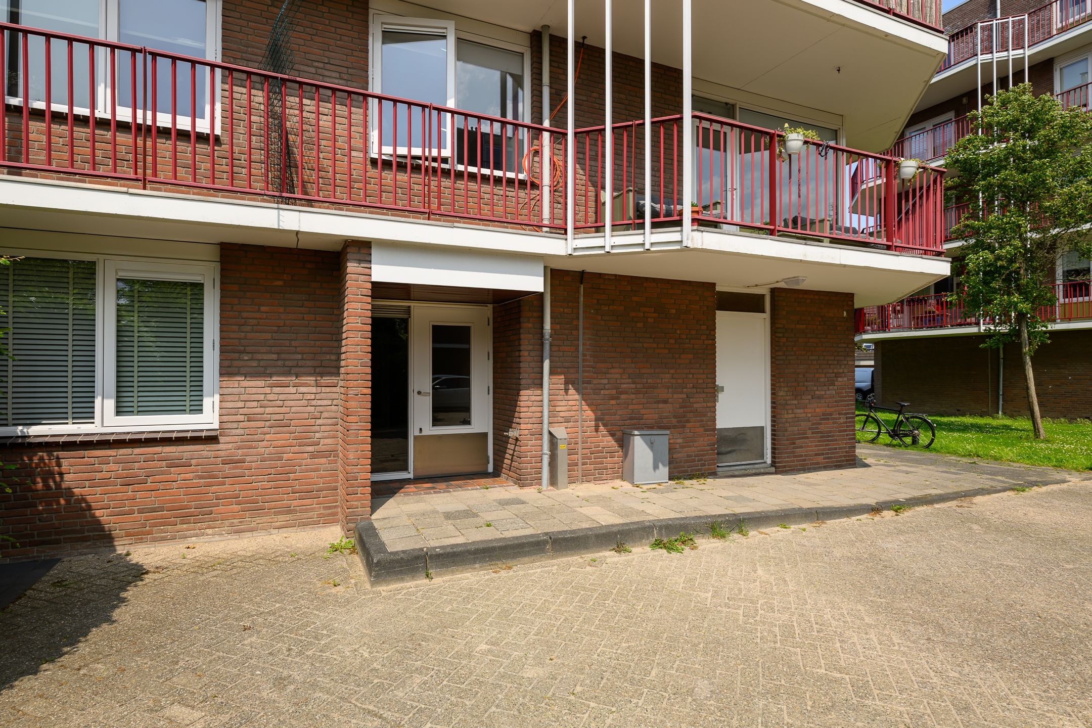 Foto 3 van Pluimgras 1