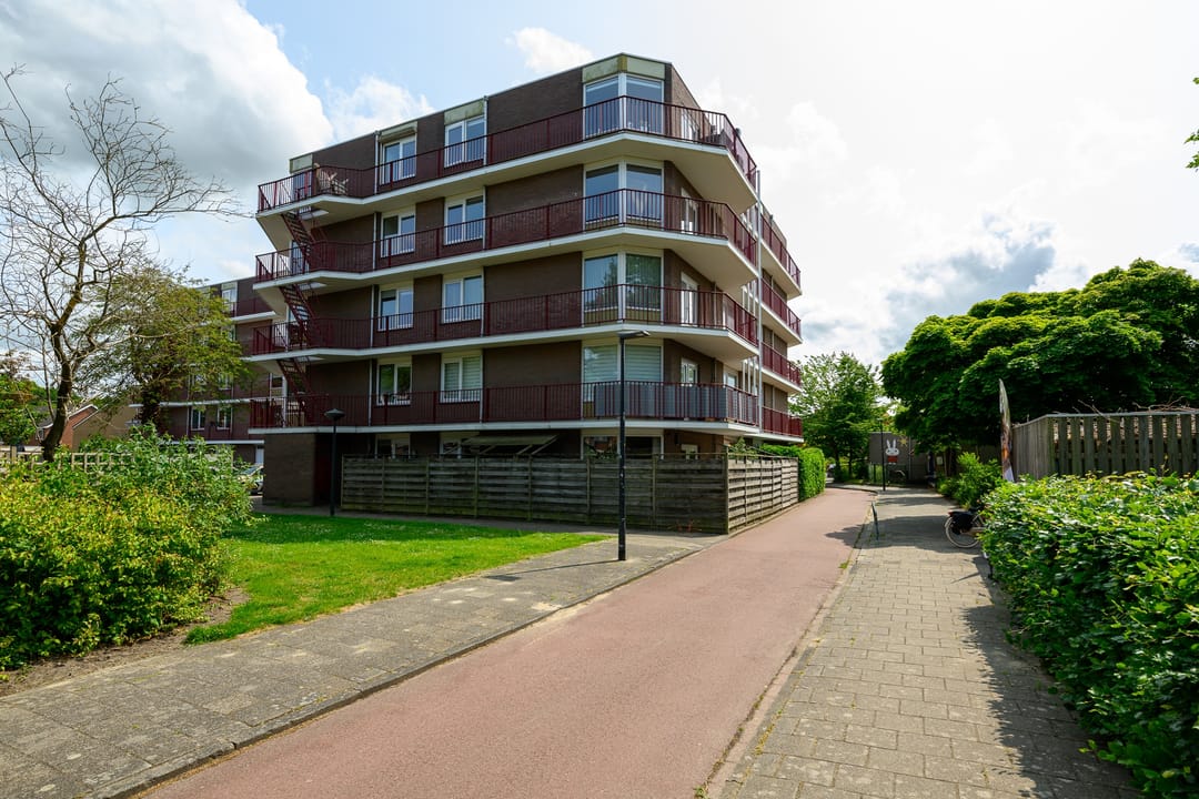 Foto 2 van Pluimgras 1