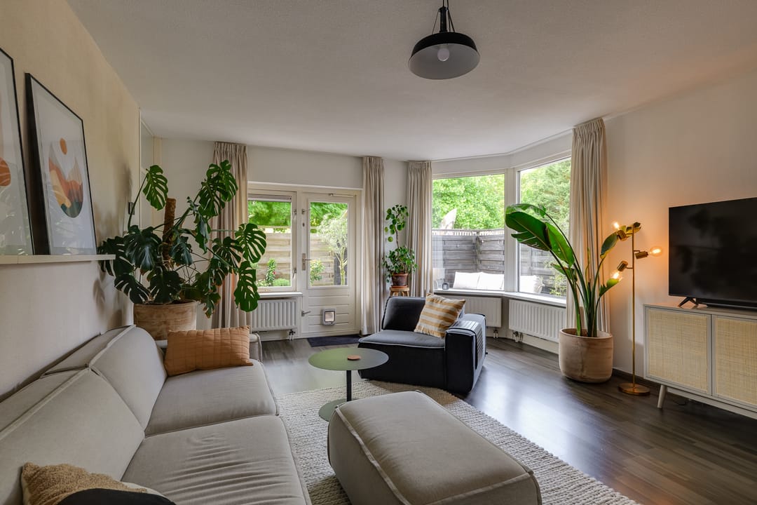 Foto 8 van Pluimgras 1