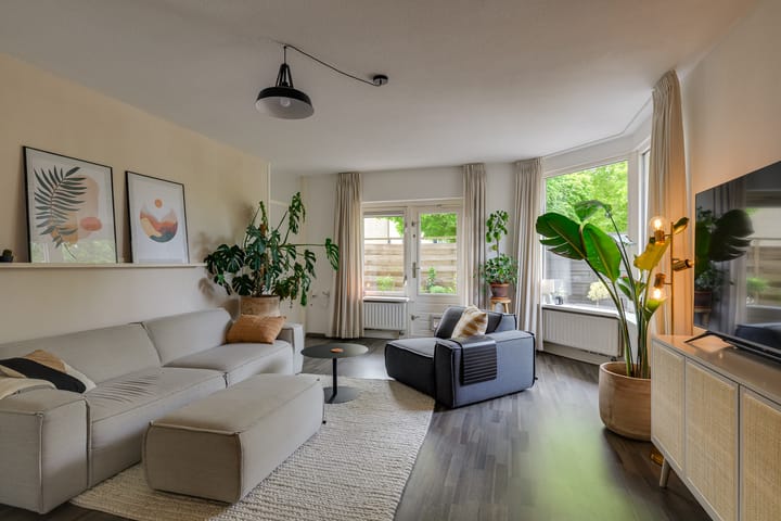 Foto 9 van Pluimgras 1