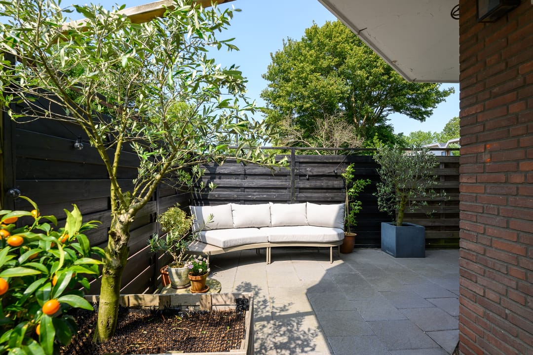 Foto 28 van Pluimgras 1