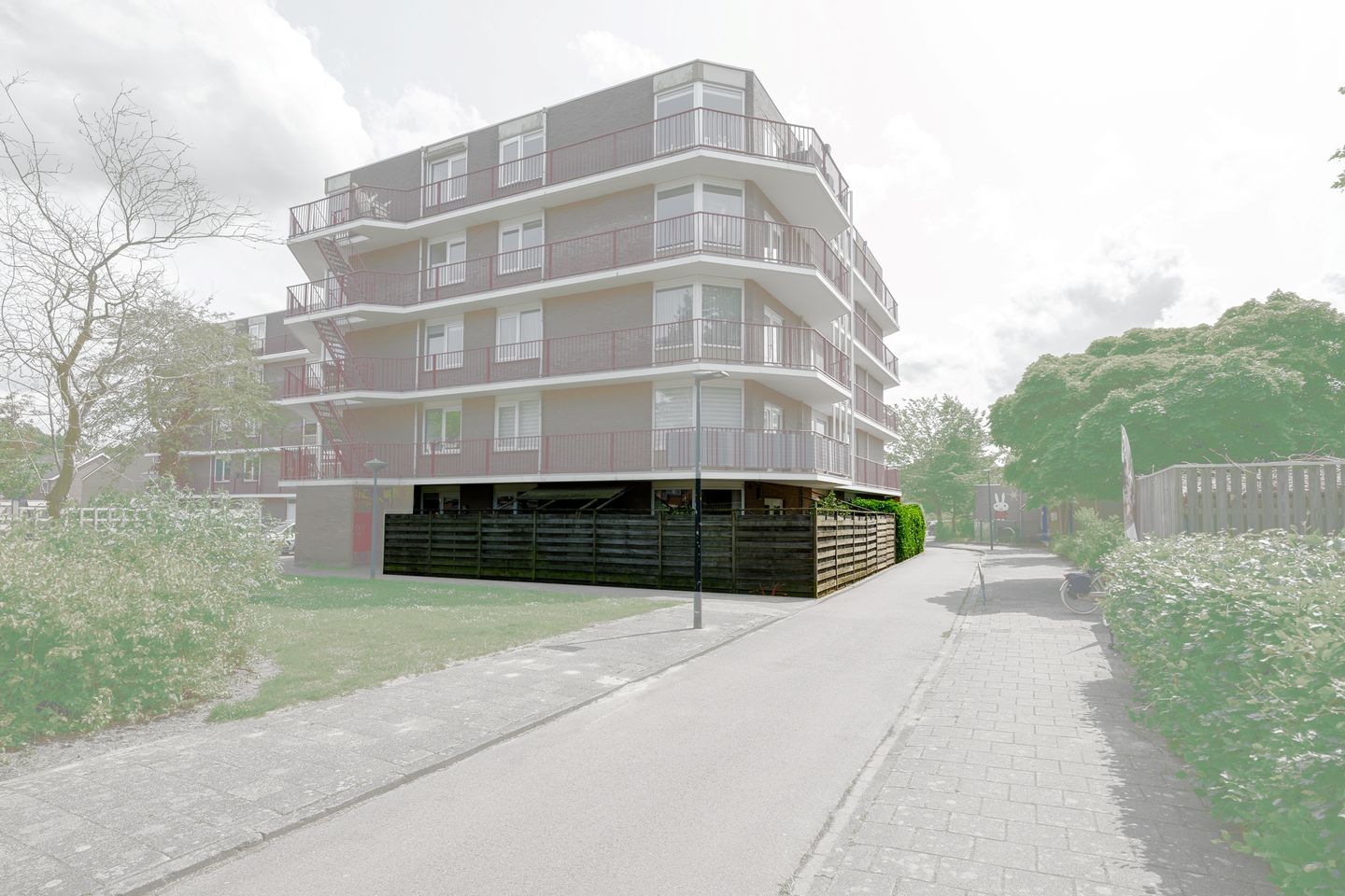 Foto 34 van Pluimgras 1